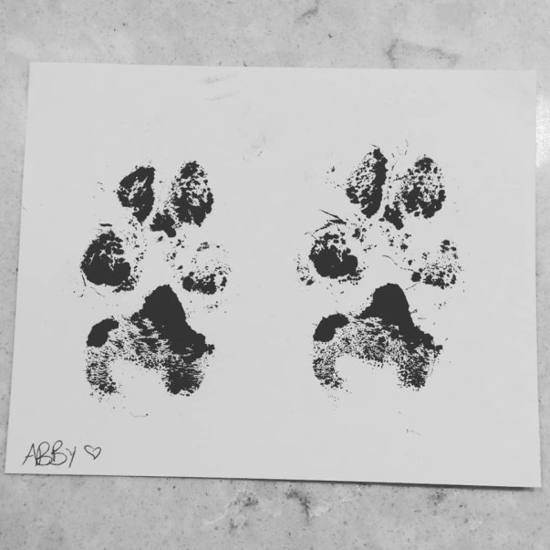 Abby Paw Prints