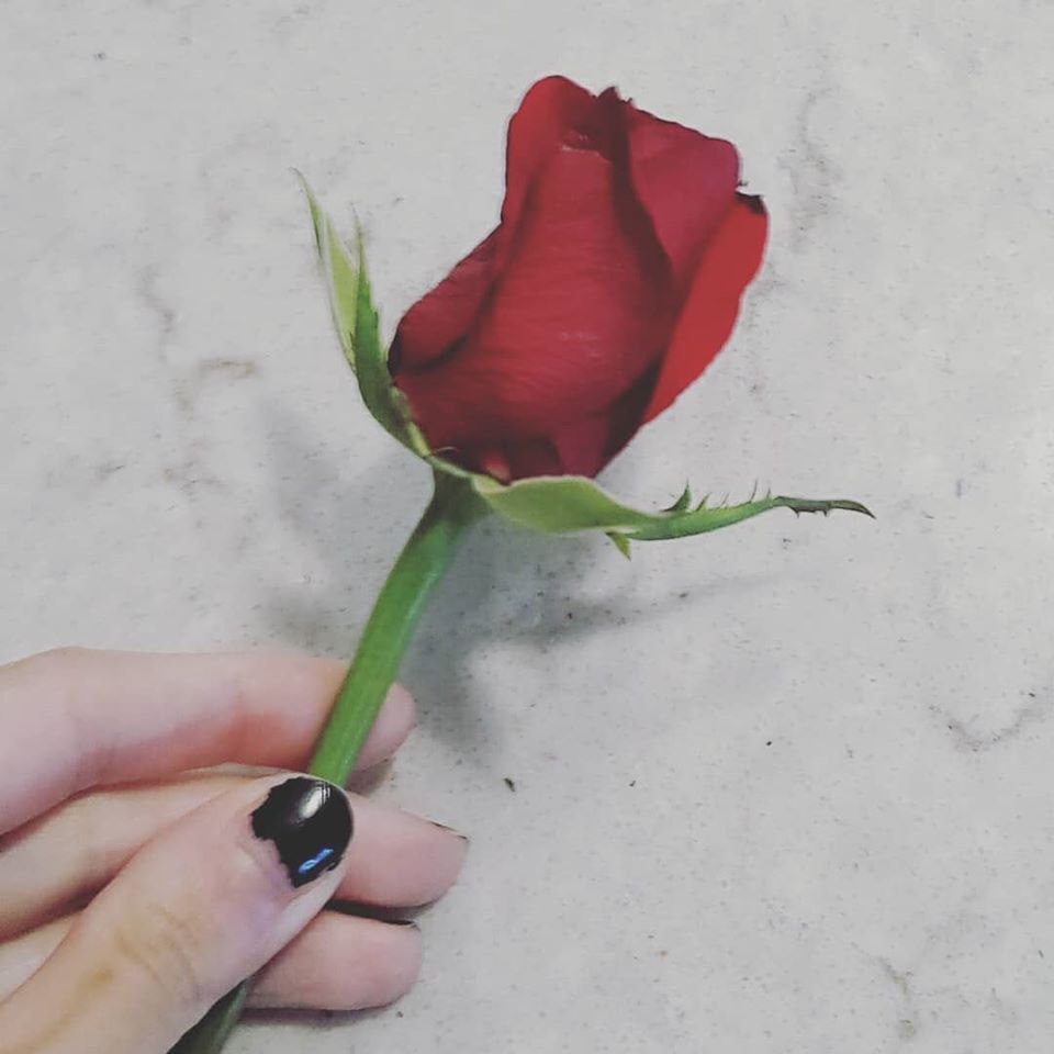 "I Meant What I Said When I Said We Will Be Together Again" by Valerie Parente