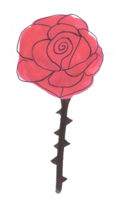 Red Rose